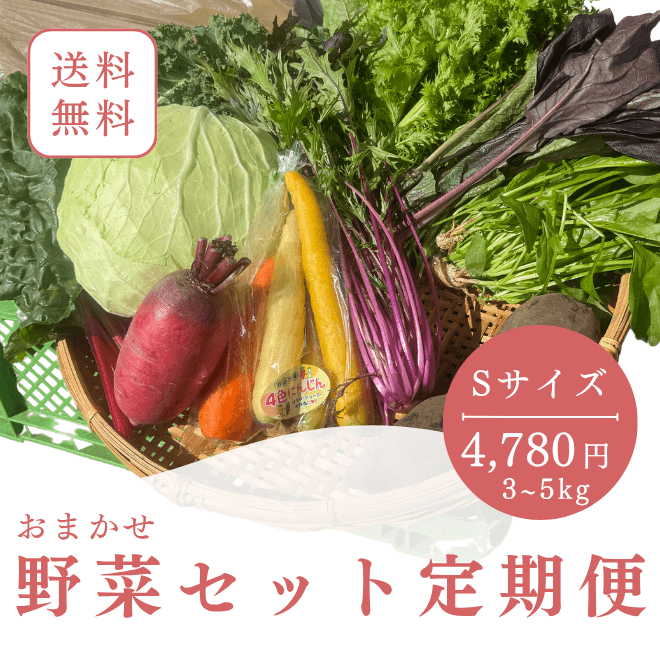 Sサイズ