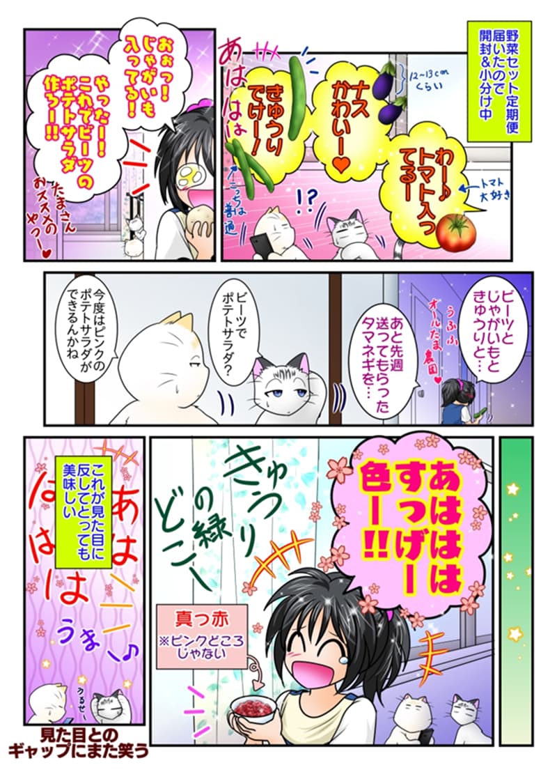 たま農園